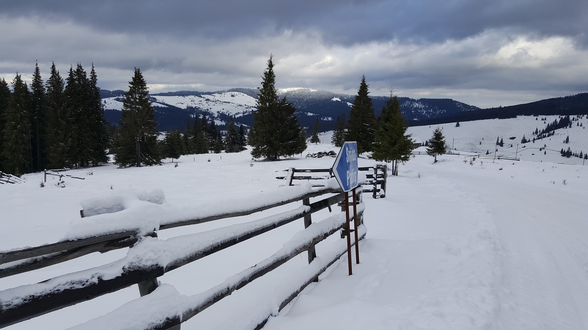 Masuratori topo Baciu_Topograf Masuratori topo Smida, Padis